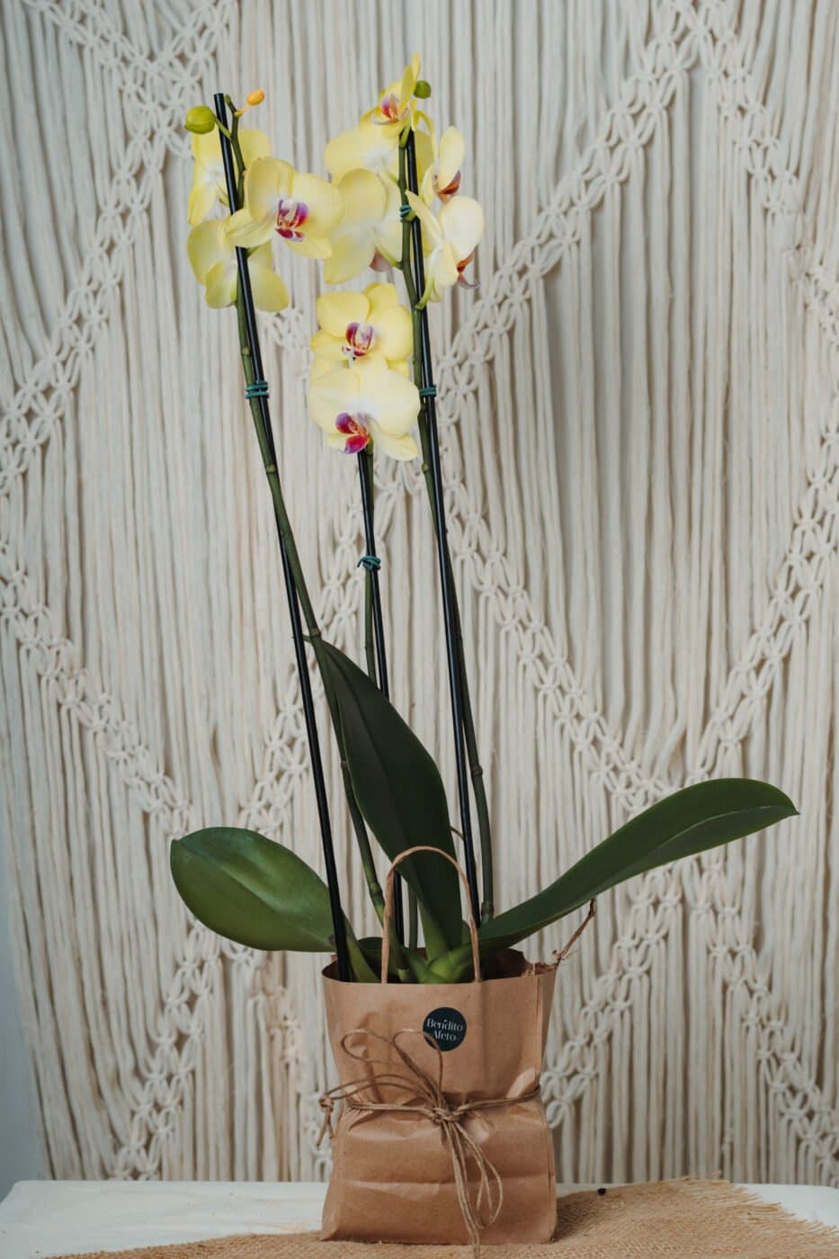Flor Orquídea da categoria Adicionais foto do produto